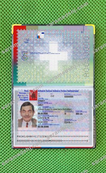 Switzerland passport photo look